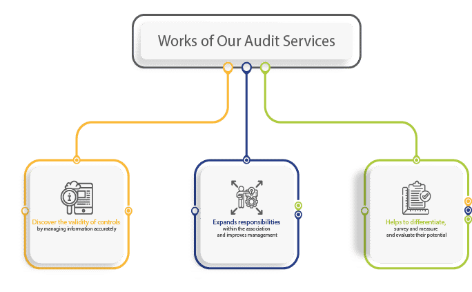 How our audit services works