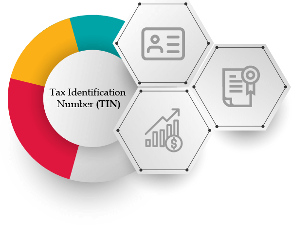 TIN Certificate and Tax Return Filing